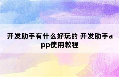 开发助手有什么好玩的 开发助手app使用教程